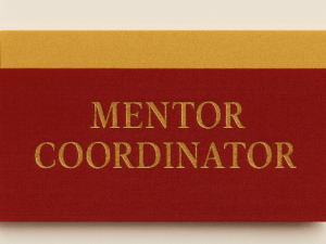 TARJAS - Mentor Coordinator - PACOTE COM 10 UNIDADES